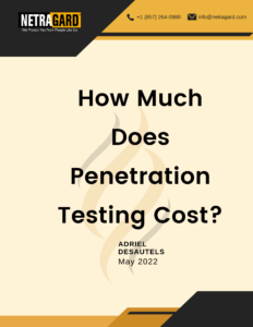 Penetration Testing Cost