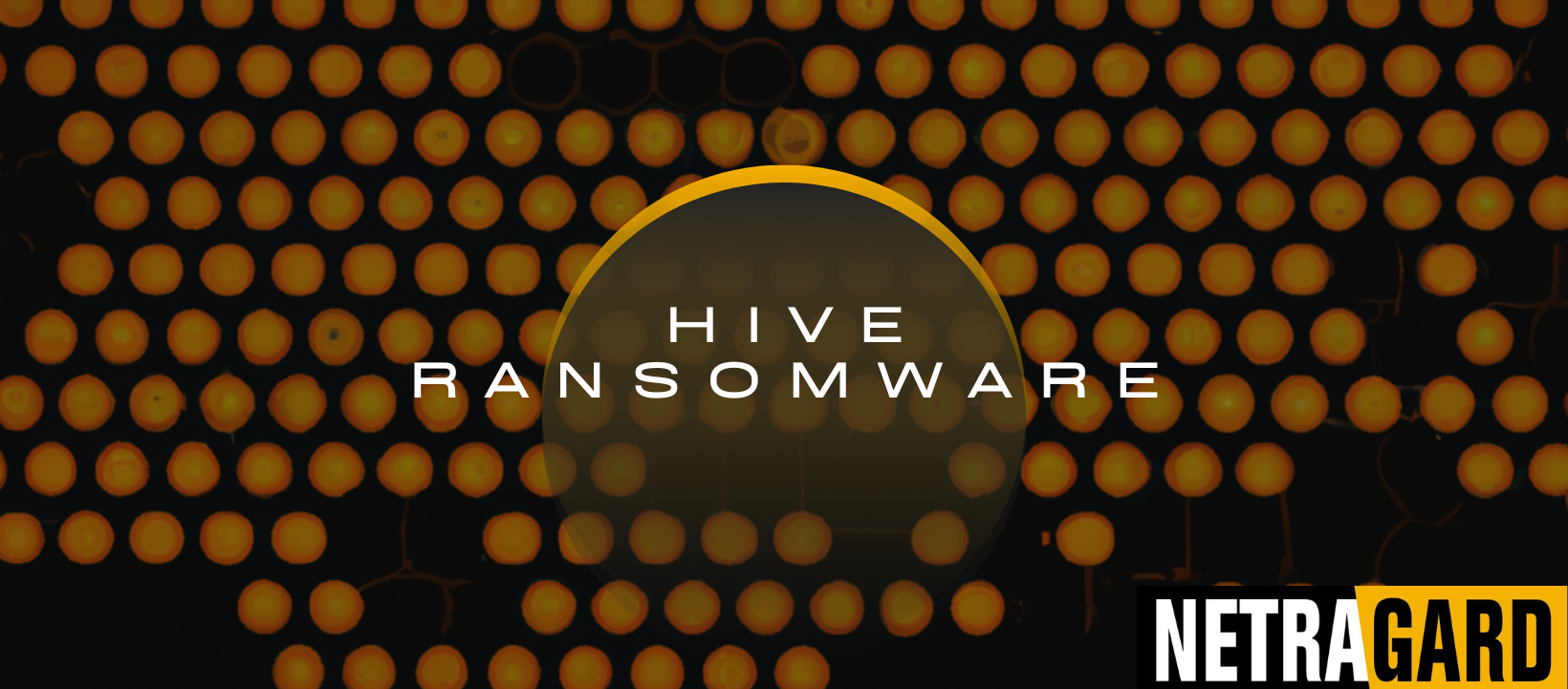 Hive Ransomware Group