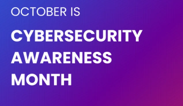 October Stay Safe Online